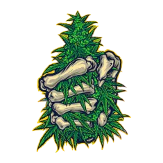 image 18-PhotoRoom (1) 10